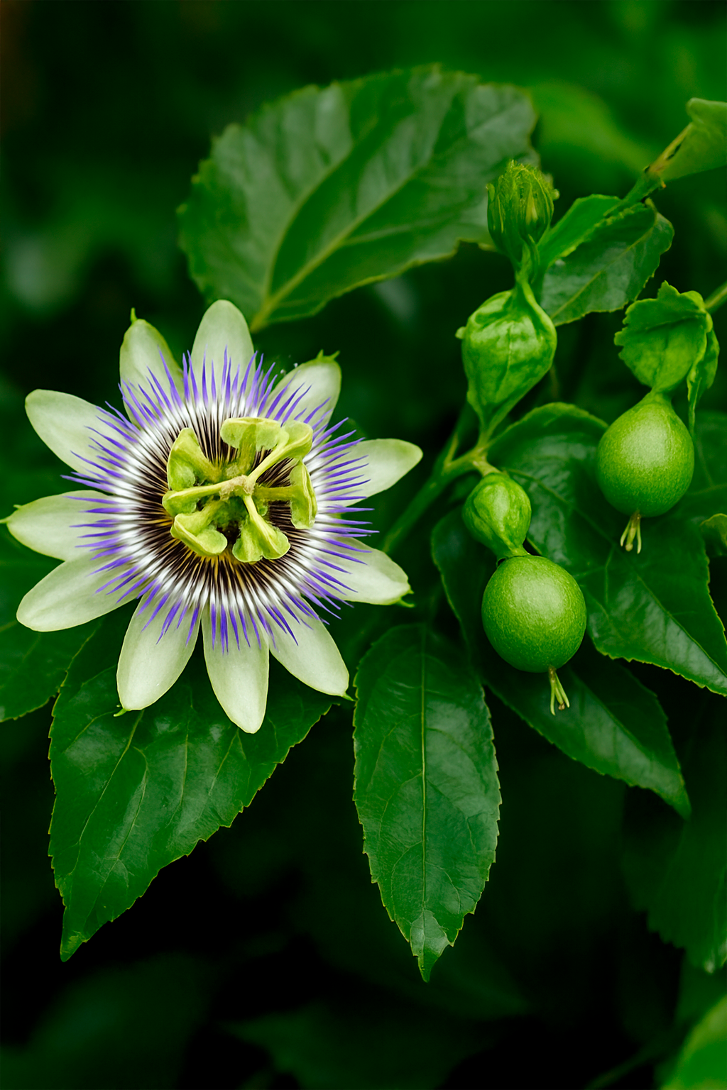 ChatGPT Image 3 de set. de 2025, 12_03_18